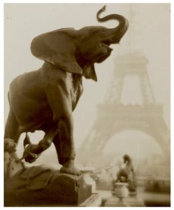 Elephantaisie c.1908